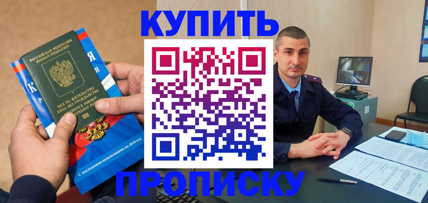 прописка поиск в Камчатской области